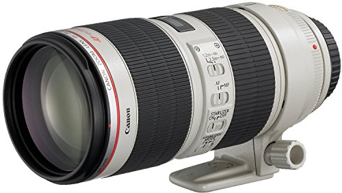 EF70-200㎜F2.8L故障… - 雑食カメラマンの雑感記